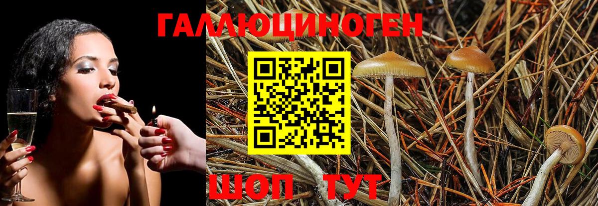 Псилоцибиновые грибы мухоморы Евпатория