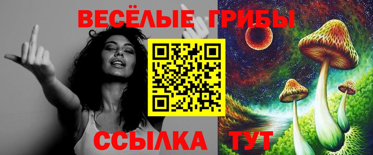 Псилоцибиновые грибы Cubensis  Вход с VPN  Евпатория 